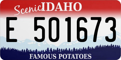 ID license plate E501673