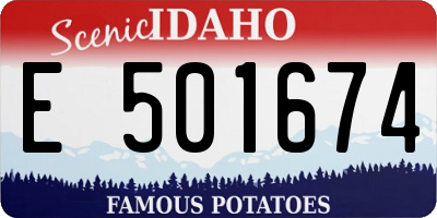 ID license plate E501674