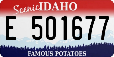 ID license plate E501677