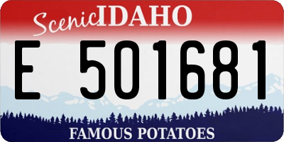 ID license plate E501681