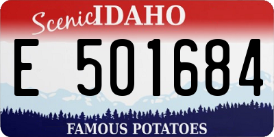 ID license plate E501684