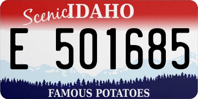 ID license plate E501685