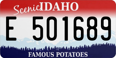 ID license plate E501689