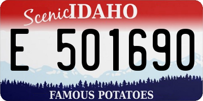ID license plate E501690