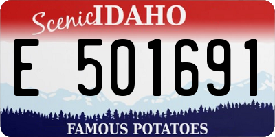 ID license plate E501691