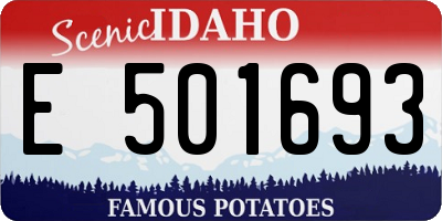 ID license plate E501693