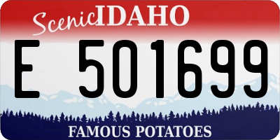 ID license plate E501699
