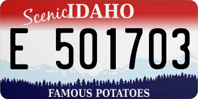 ID license plate E501703