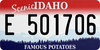 ID license plate E501706