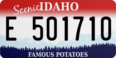 ID license plate E501710