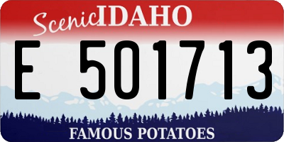 ID license plate E501713
