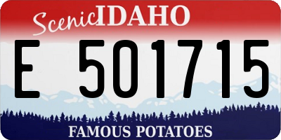 ID license plate E501715
