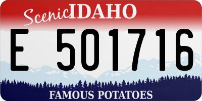 ID license plate E501716
