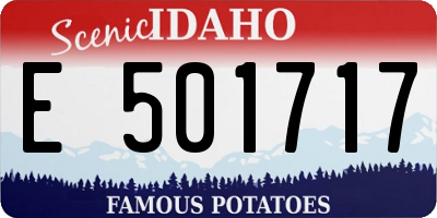 ID license plate E501717
