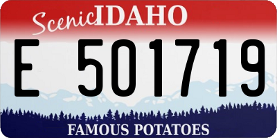 ID license plate E501719