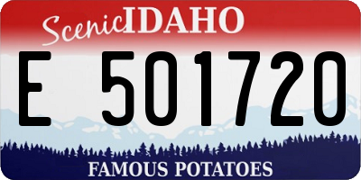 ID license plate E501720