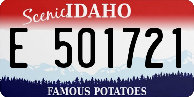 ID license plate E501721