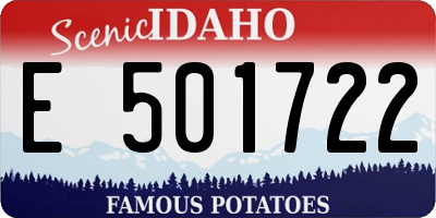 ID license plate E501722