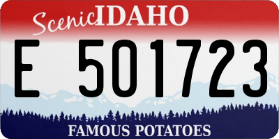 ID license plate E501723