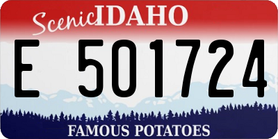 ID license plate E501724