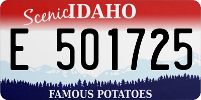 ID license plate E501725
