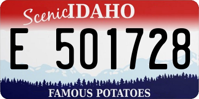ID license plate E501728