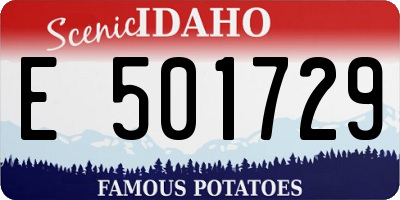 ID license plate E501729