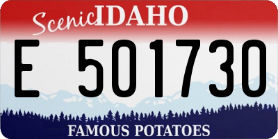 ID license plate E501730