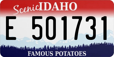 ID license plate E501731