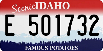 ID license plate E501732