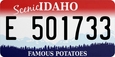 ID license plate E501733