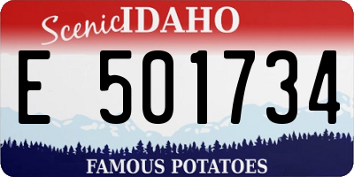 ID license plate E501734