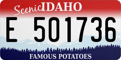 ID license plate E501736