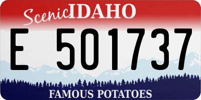 ID license plate E501737