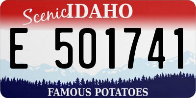 ID license plate E501741