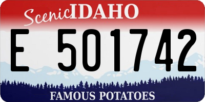 ID license plate E501742