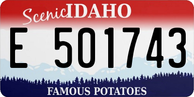 ID license plate E501743