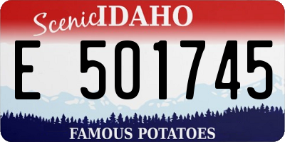 ID license plate E501745