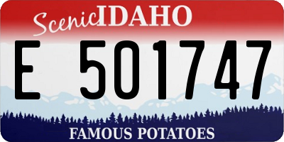 ID license plate E501747