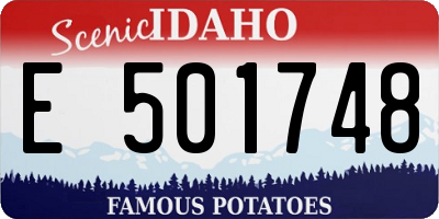 ID license plate E501748