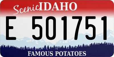 ID license plate E501751