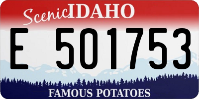 ID license plate E501753
