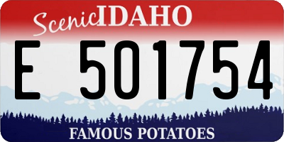 ID license plate E501754