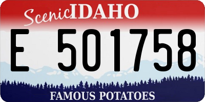 ID license plate E501758