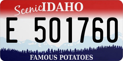 ID license plate E501760