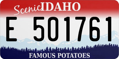ID license plate E501761