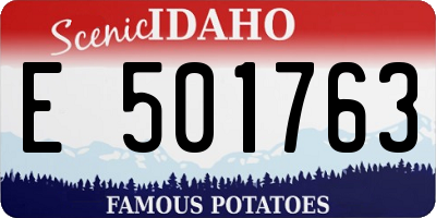 ID license plate E501763