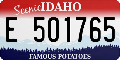 ID license plate E501765