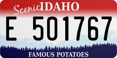 ID license plate E501767