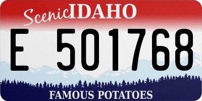 ID license plate E501768